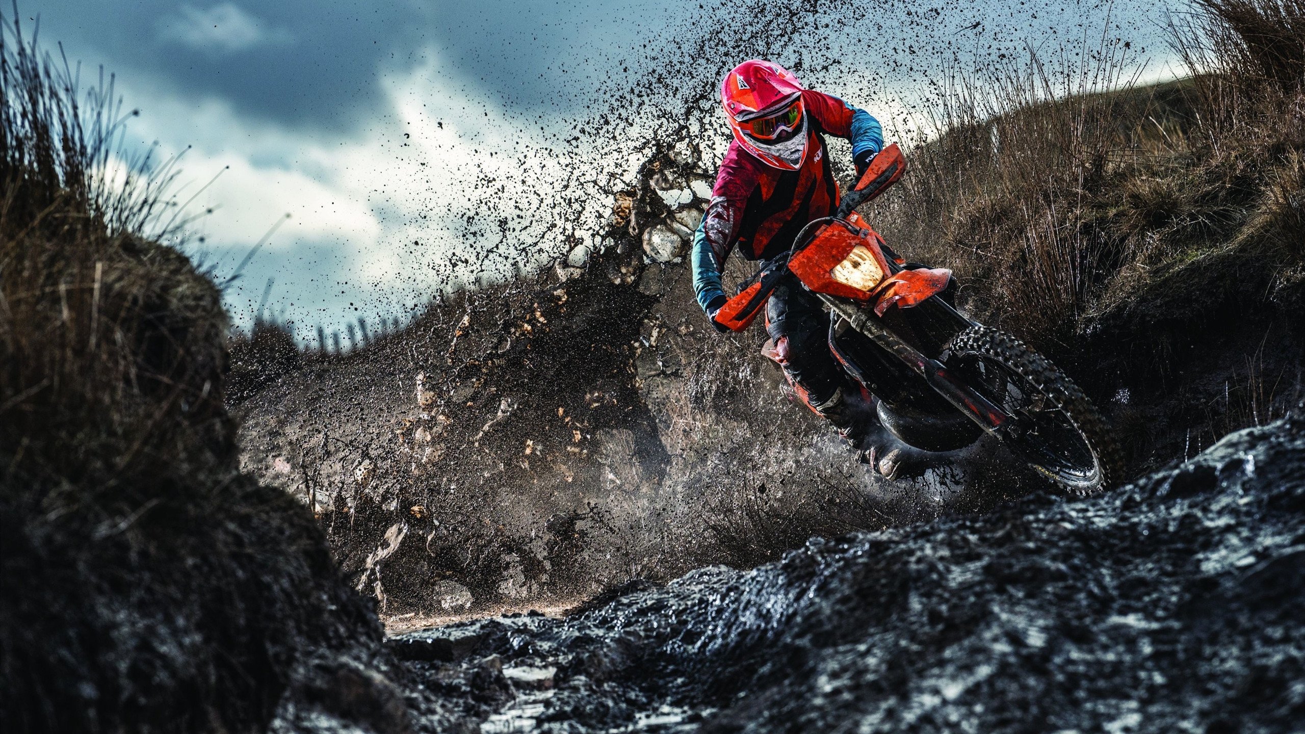 开云体育平台APP-铁血战场与行为艺术，当辽宁队血拼雷霆，爱德华兹演绎教科书式表演