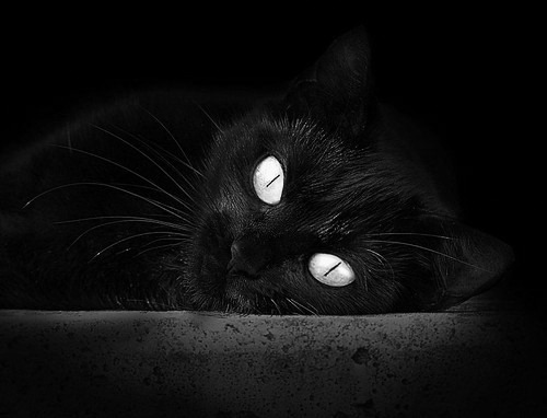 劳塔罗，白衣军团的关键先生—一场被对手定义的硬仗胜利