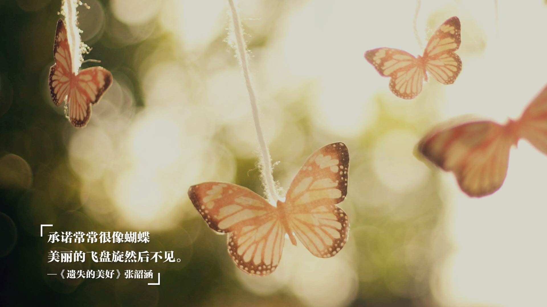 上海闪电战与巴林手术刀，当体育在破次元的边界奏响同一种节奏