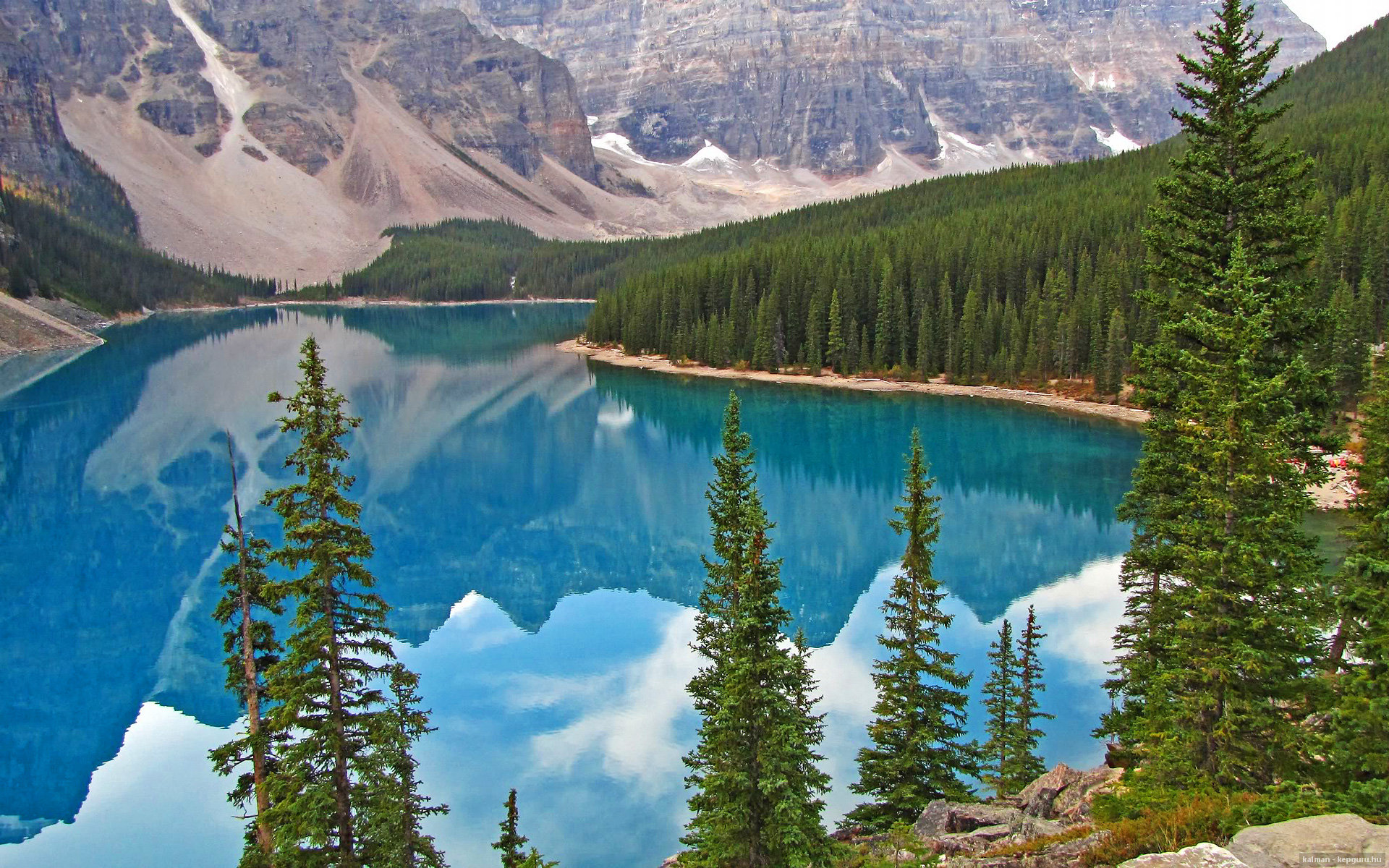 悬念终结者!卡拉斯科闪电突袭,塞内加尔无情碾压土耳其