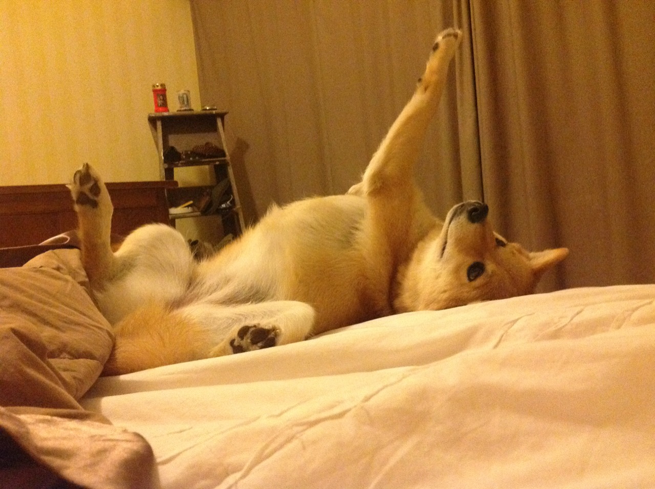 钢铁意志碾压艺术绝唱,赖斯一箭定音,乌拉圭强行终结克罗地亚黄金时代