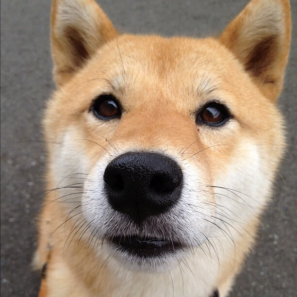 蝴蝶扇动翅膀,奥亚尔萨瓦尔的续约,如何让阿森纳在转会市场收割巴萨?