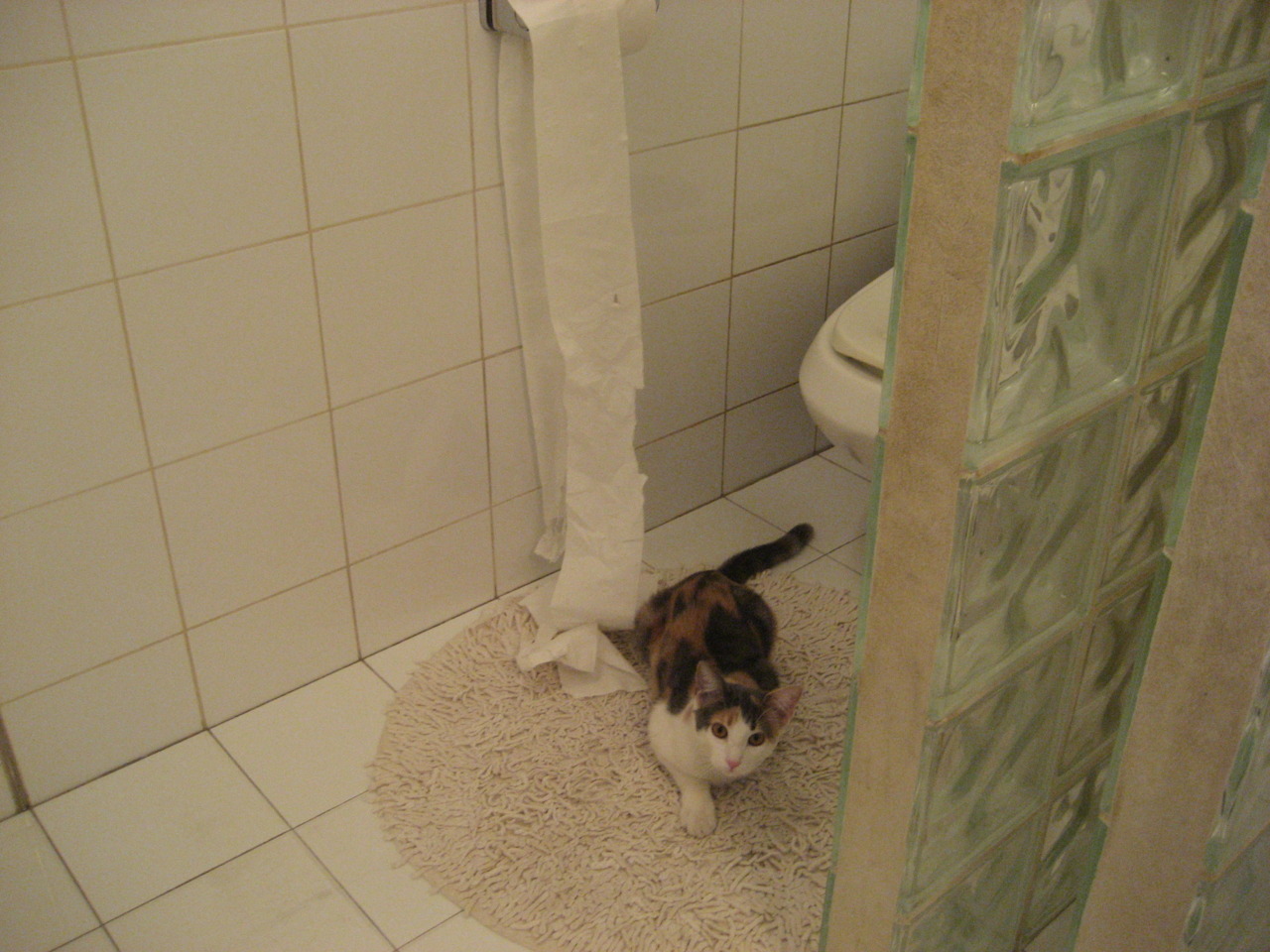 真蓝黑的启示,足球世界里冲垮与争冠的同一种精神