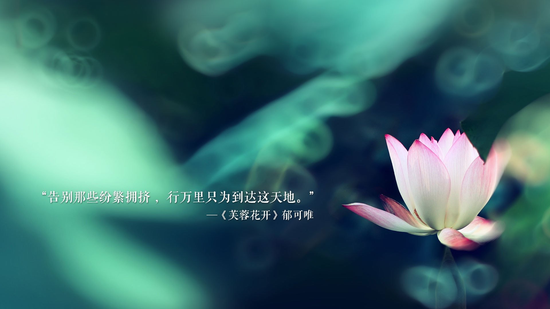当安第斯山脉遇见波斯湾,2026世界杯C组,一场跨越南北半球的足球美学对决