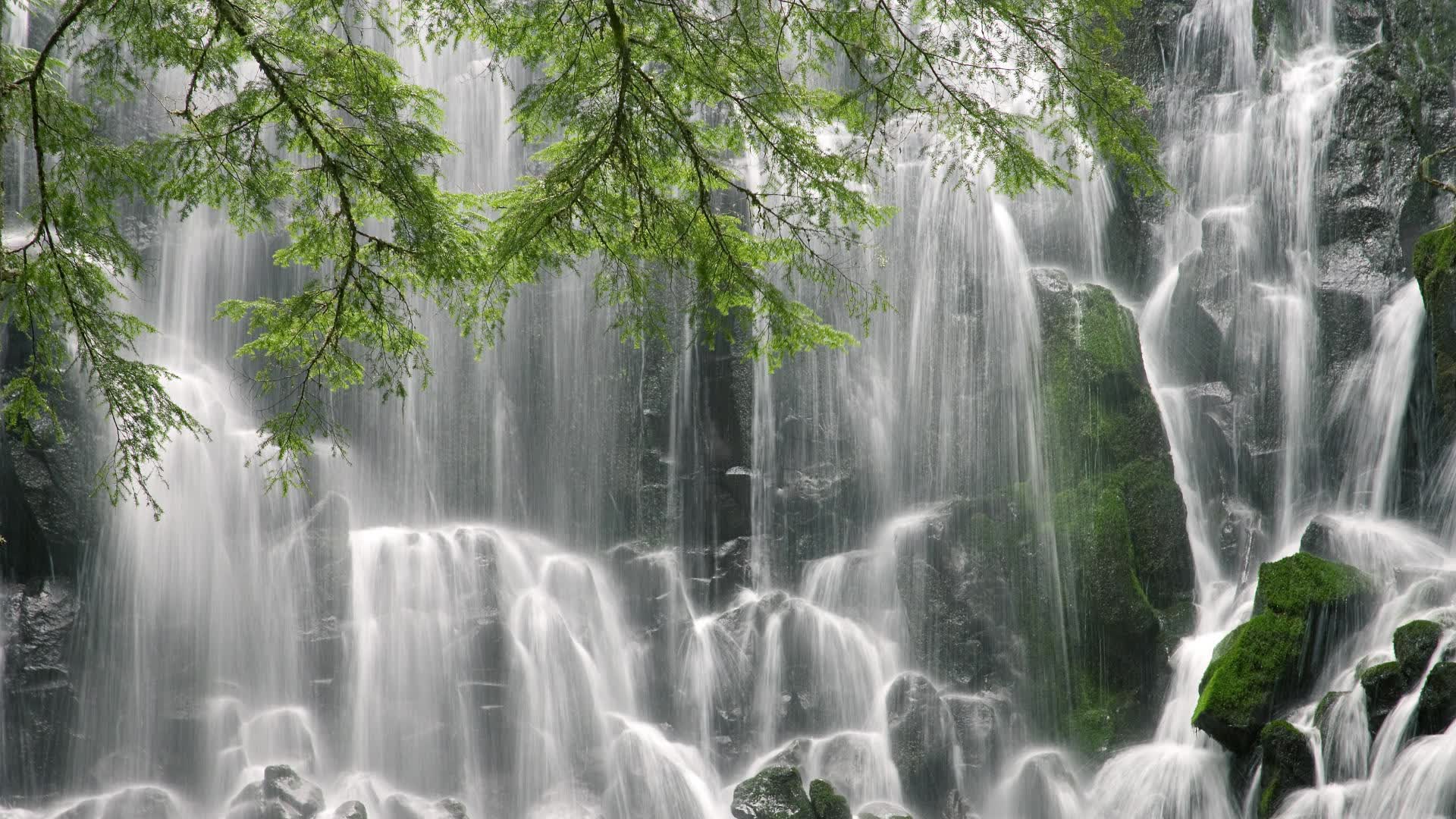 开云体育在线-让我们先构思一个能够融合所有要素、并制造出强烈反差与悬念的标题