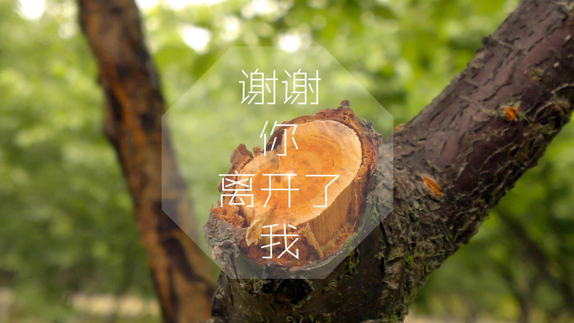 开云sport-（扩展思维后的三种风格）
